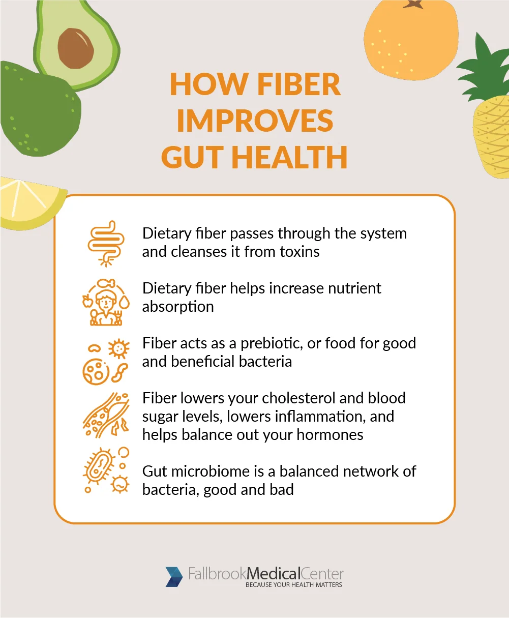 How Fiber Improves Gut Health?