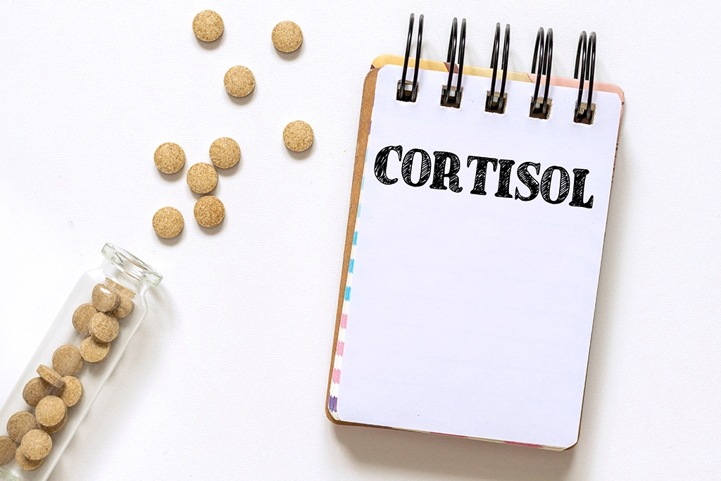 cortisol-and-anxiety-portada.webp