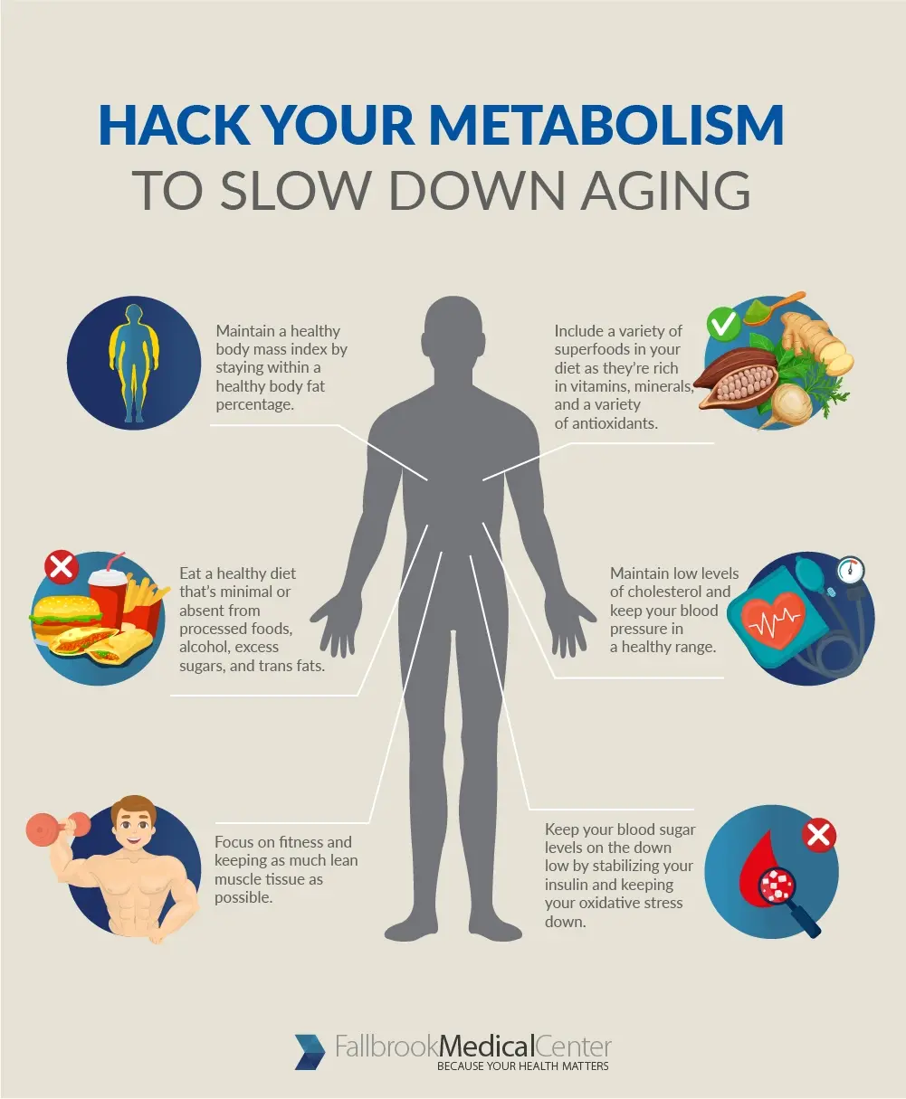 Hack your Metabolism to Slow Down Aging