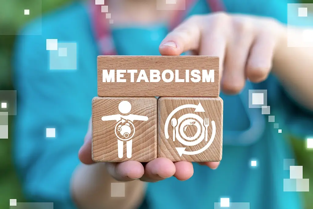 metabolismo.webp