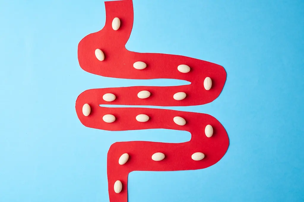 A-Healthy-Oral-Microbiome-–-The-Key-to-Systemic-Health.webp