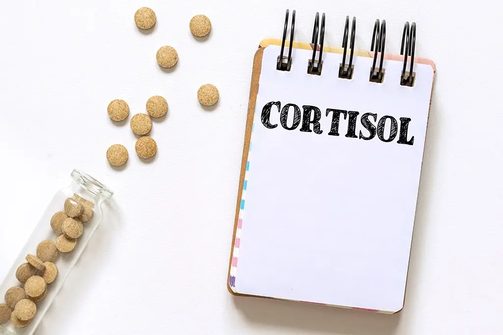 Cortisol-and-Anxiety-–-What-You-Need-to-Know.webp