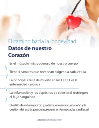 La Longevidad y datos de nuestro corazón
