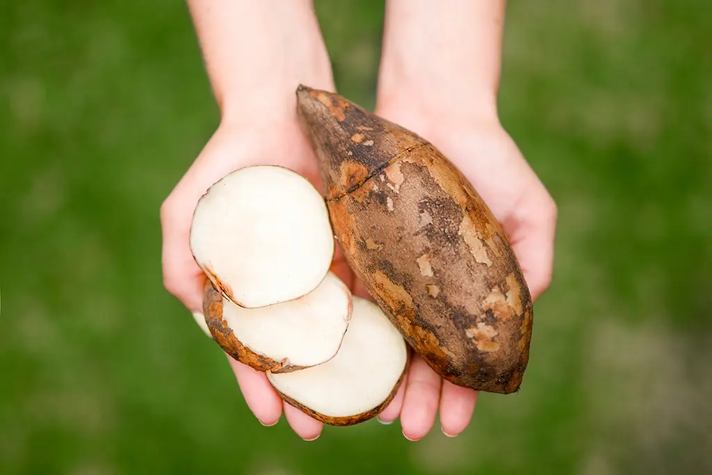 Endulzantes-saludables-para-diabeticos.webp