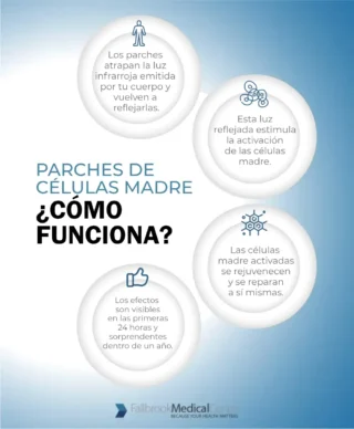 Infografía sobre el funcionamiento de los parches de células madre.