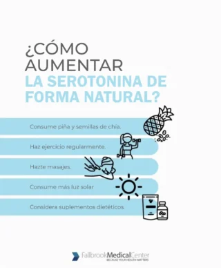 Infografía sobre la conexión cerebro-intestino y el SII.