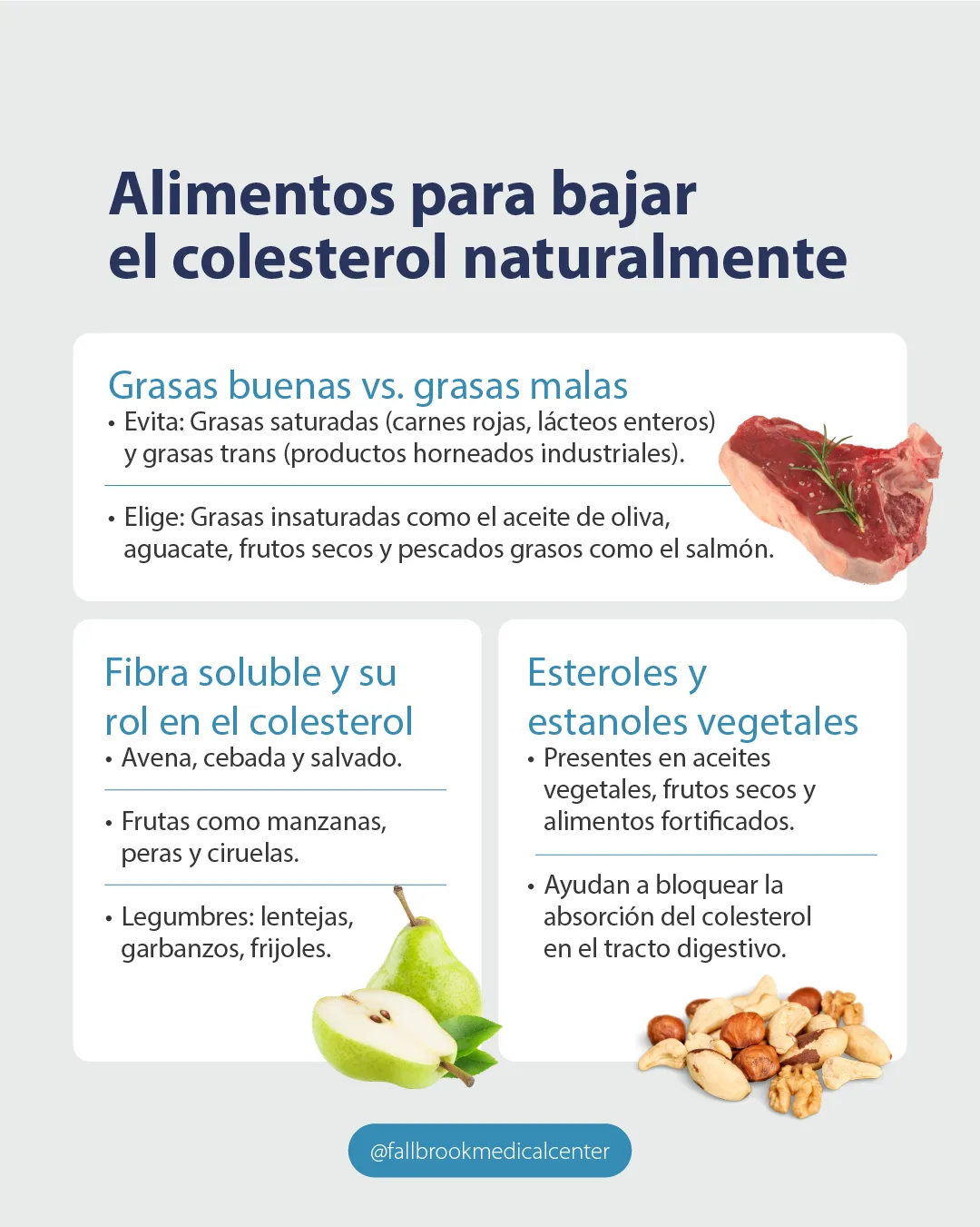 Infografia Alimentos para bajar el colesterol naturalmente