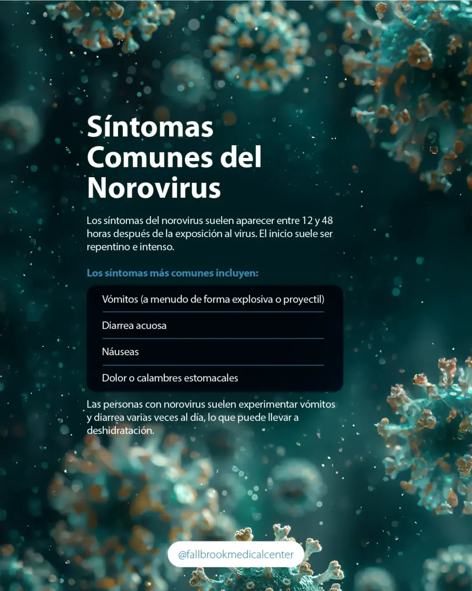 Infografia Sintomas comunes del Norovirus
