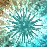 Diferencia entre infección viral y bacteriana